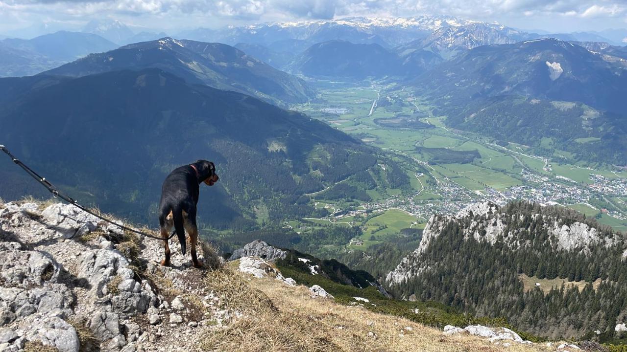 Berghaus Gesaeuse Pension Weng im Gesause Extérieur photo